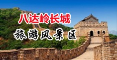 免费看黄色片男人大鸡巴操女人的大逼中国北京-八达岭长城旅游风景区