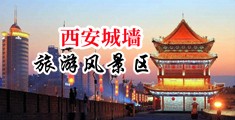 拉美群交中国陕西-西安城墙旅游风景区